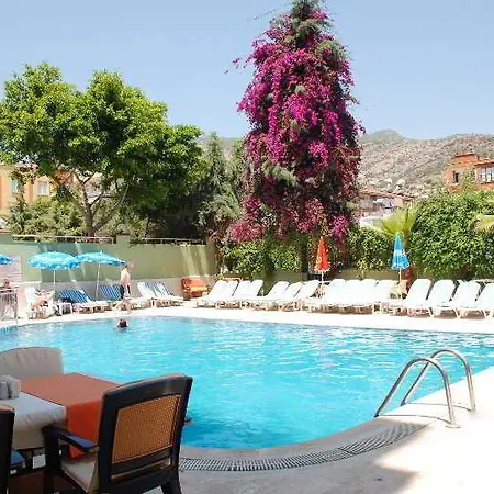 Kleopatra South Star אלאניה